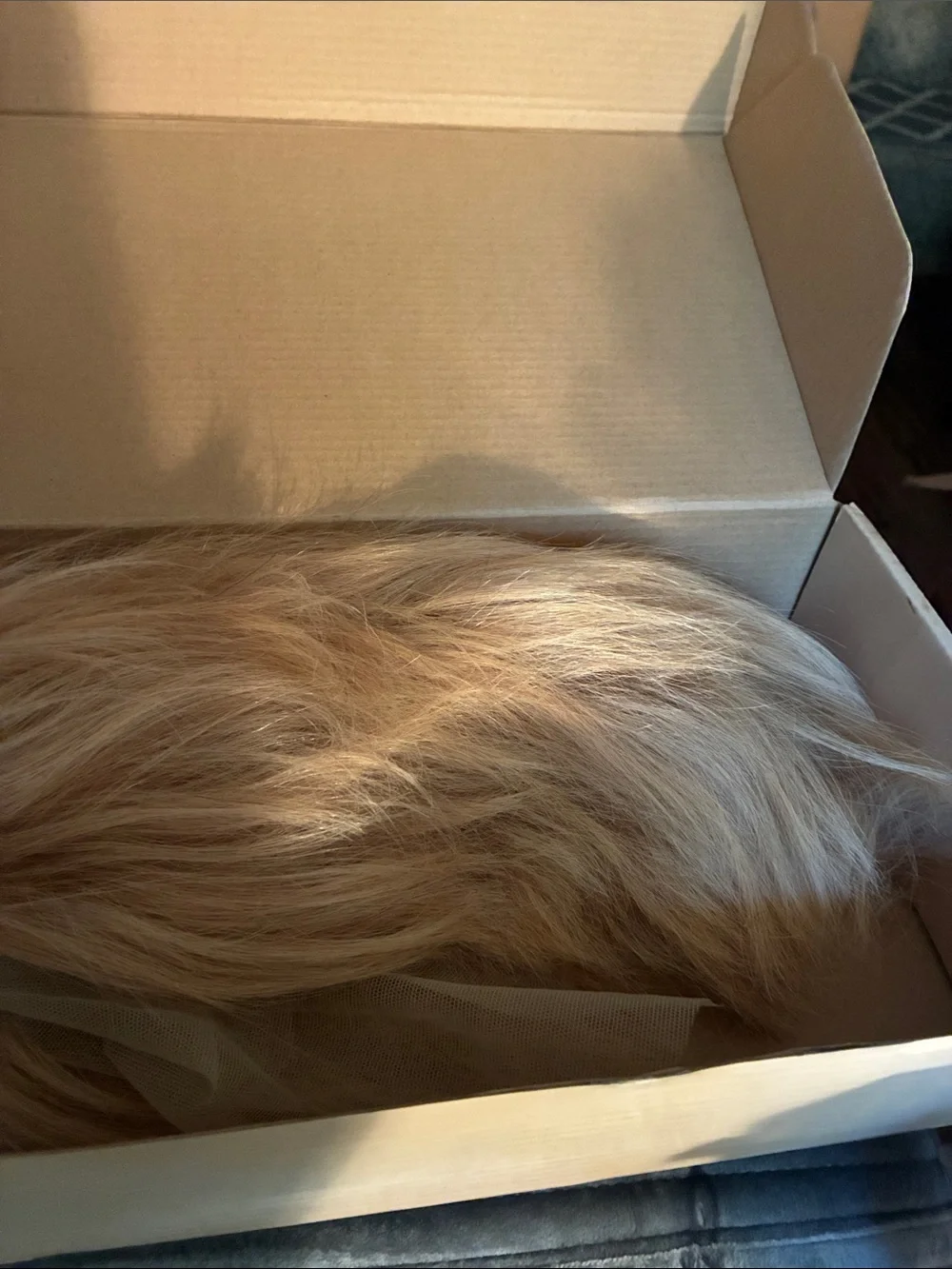 Blonde Short Layered Women's Wig - Natural Golden Blonde New